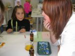 Hauptschule (4)